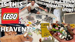 LEGO MOCist Heaven: Legoland Germany's INSANE Pick a Brick Store Haul with ANIMALS and more!