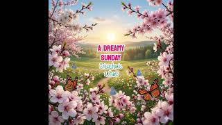 Crisastemis A Dreamy Sunday