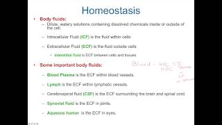 Anatomy and Physiology 241; chapter 1 :  Introduction to Anatomy and Physiology