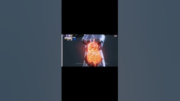 liver description#shorts  #healtheducation #immunedeficiency #immunesystem
