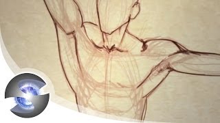 How to Draw the Male Torso from the Front