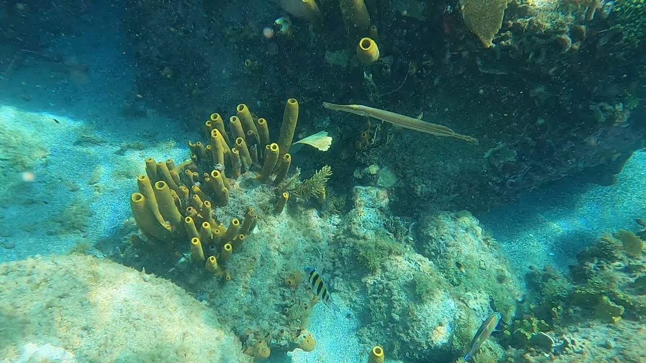 26 avril 2023 YouTube 26 avril 2023 YouTube