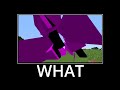 WAIT WHAT(minecraft) part 1