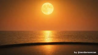 Zahidem - Mizahide - Flamenco & Spanish