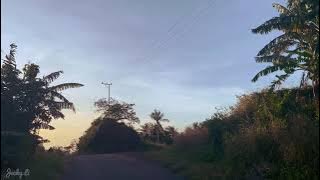 Story WA Aesthetic 🌺 | DJ Better Have My Money | Trip to Kawaliwu Beach