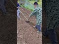 Secret of Long-Handled Digging? Two People Cooperate, Digging Efficiency Doubles!