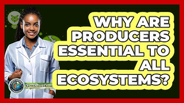 Why Are Producers Essential To All Ecosystems?