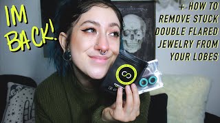 Celebrity new plugs haul / how to insert & remove double flared plugs Net Worth