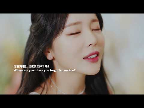 홍진영 Hong Jin Young 니가 있었다 Stay ENG 洪真英 曾經有你 中字