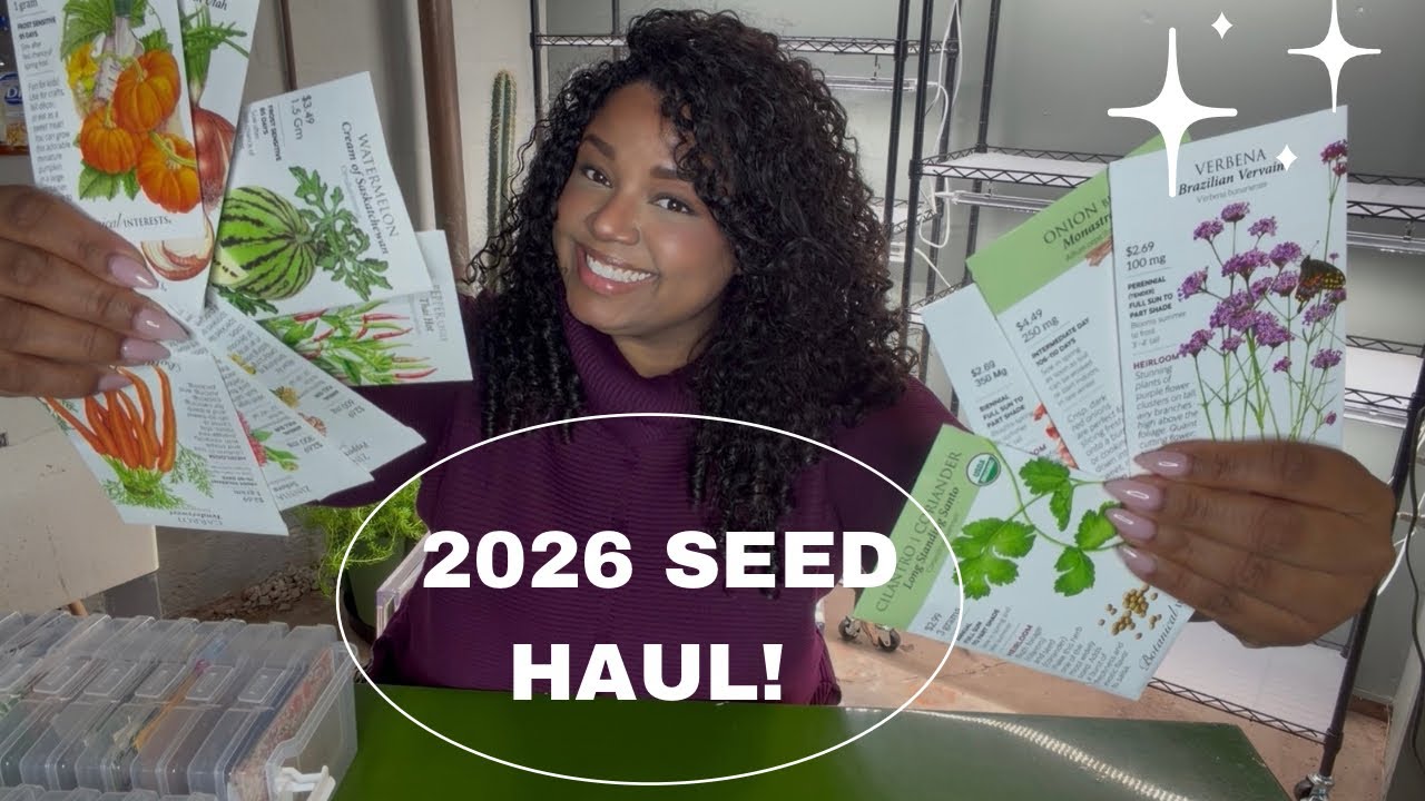 ЗАПАСЫ СЕМЕН ДЛЯ КОМПАНИИ BOTANICAL INTRESET НА 2026 ГОД!