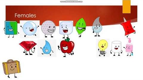 BFDI and Inanimate Insanity Viewer Voting Episode 33