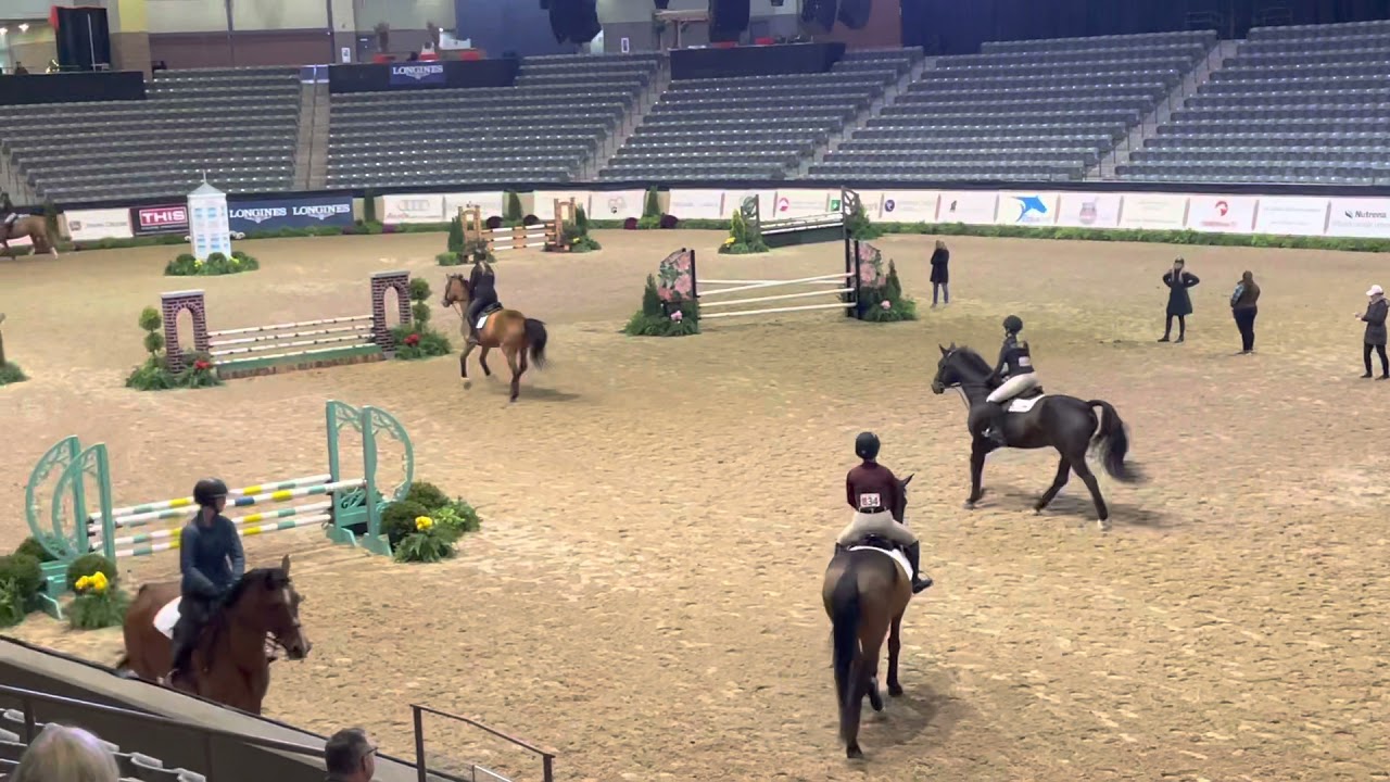 Warm Up in Alltech Arena during National Horse Show 2021 on unfamiliar horse(Lucky Quid)