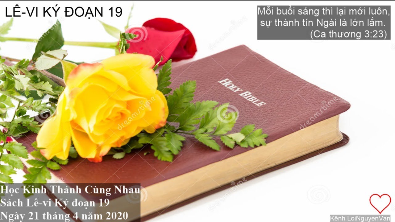 ️🌹Lê-vi ký đoạn 19. Học Kinh Thánh Hàng Ngày - 21 tháng 4 năm 2020. ️�…