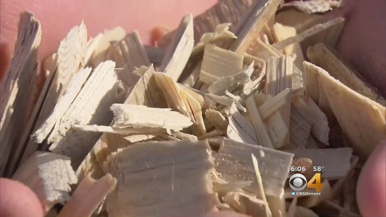 Can Wood Chips Help Drivers On Icy Roads? YouTube