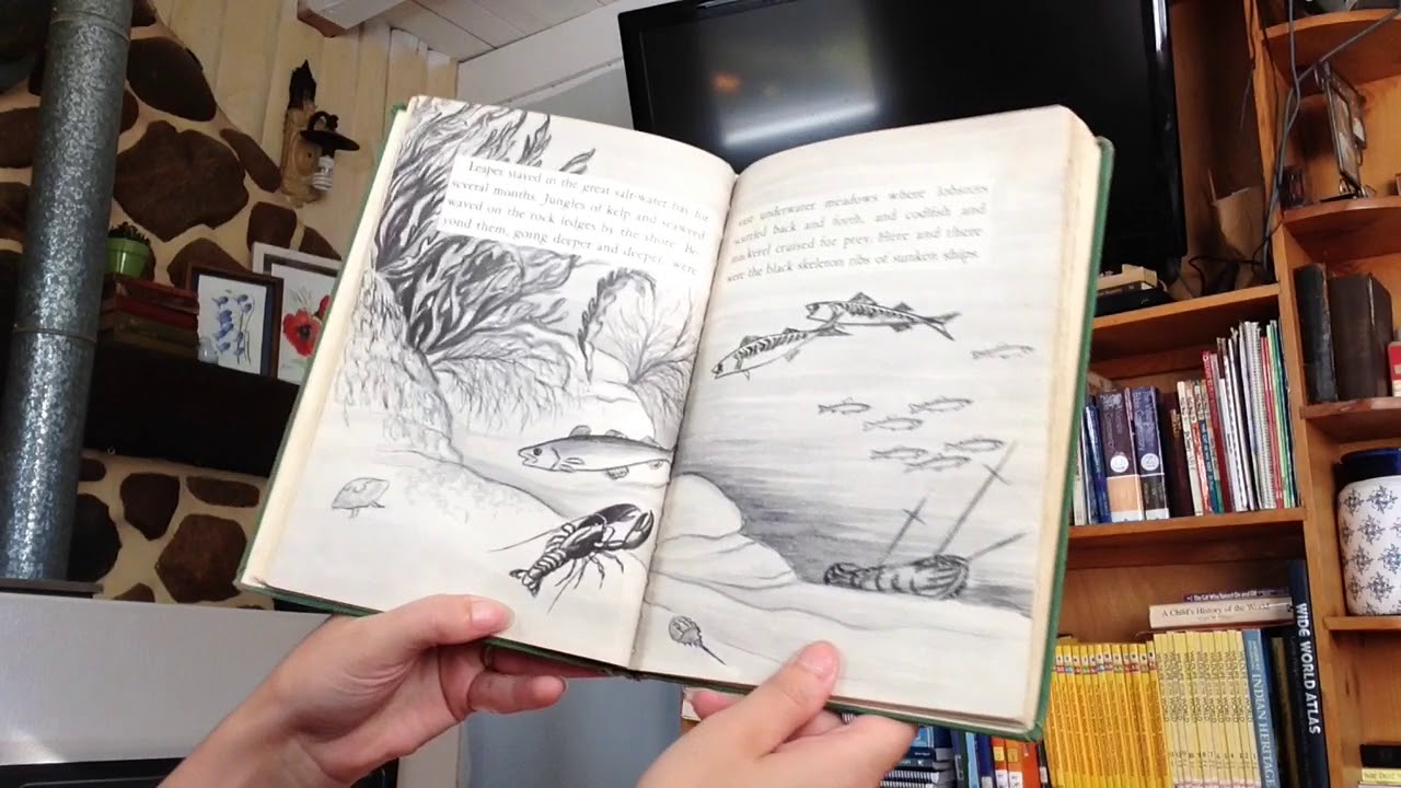 Leaper by Robert McClung read aloud