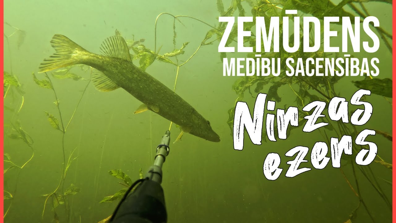 EP27 | Nirzas ezers - Zemūdens medību sacensības