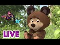 🔴 LIVE 🐻👧 Masha y el Oso 2023 📕👶Sin errores, solo lecciones🎬 Masha and the Bear