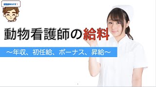 【獣医師がやさしく解説】動物看護師さんのお給料　〜年収、初任給、ボーナス、昇給、どうすれば給料アップの方法〜