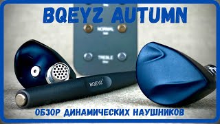Обзор динамических наушников BQEYZ Autumn - Лучшие среди BQEYZ!