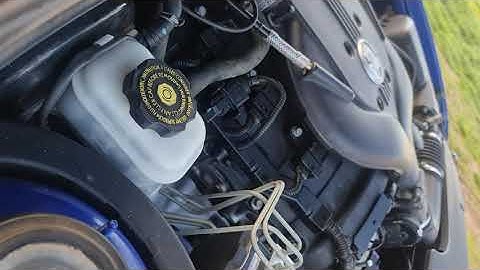 vz commodore chain rattle?