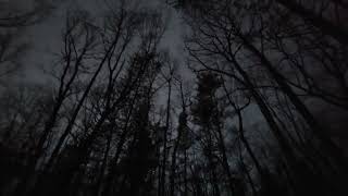 Total Eclipse at Letchworth State Park