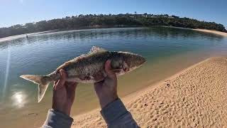 Australian Salmon Fishing with Lures in Merimbula NSW