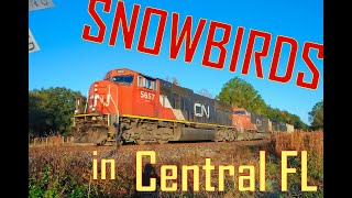 Chasing Two Canadian National EMD SD75i Locomotives Down the Florida Peninsula