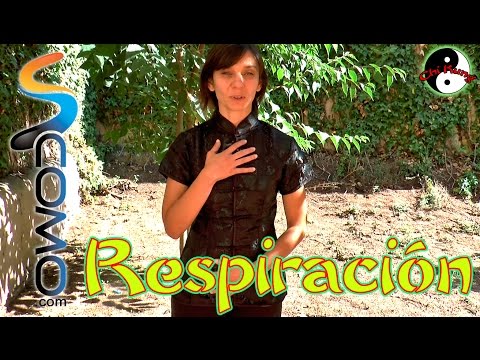 Vídeo: Ejercicios Chinos De Respiración Qigong - Ejercicios