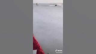 godspeed x happiest life