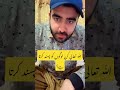 اللّٰہ تعالٰی کن لوگوں کو پسند کرتا ہے؟