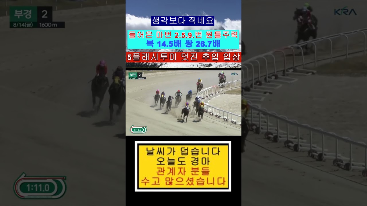 송경윤 기수 5플래시투미 멋진 추입 보기 좋네요?
