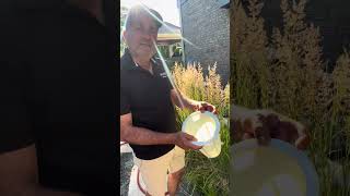 Step by step tutorial on how to clean your Jandy pump basket 