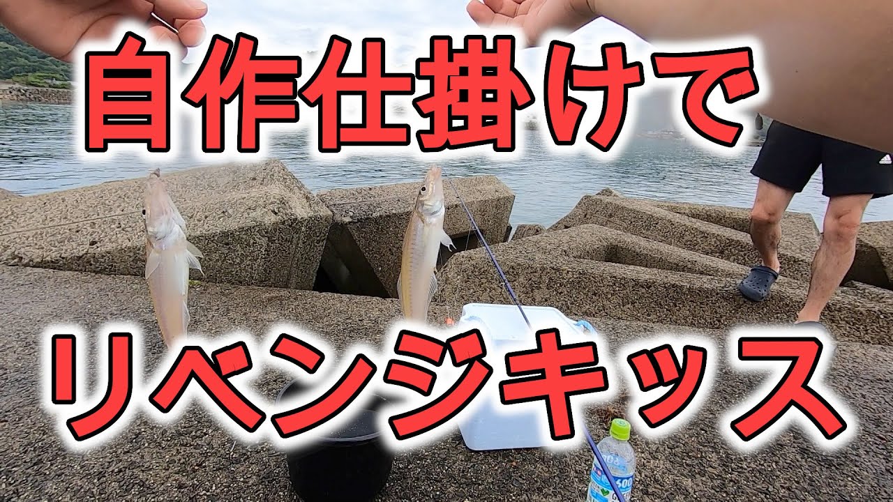 捌き方 釣ったキスとベラの捌き方 天ぷら 塩焼き用 Youtube 捌き方 釣ったキスとベラの捌き方 天ぷら 塩焼き用 Youtube