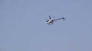 Trex 600 First Flight