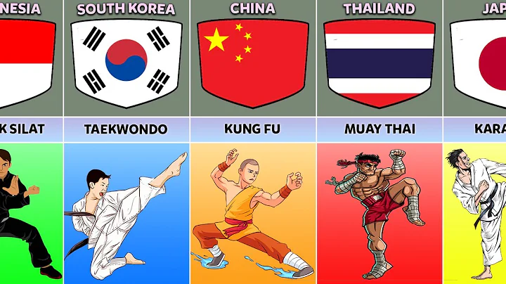 Martial Arts From Different Countries - DayDayNews