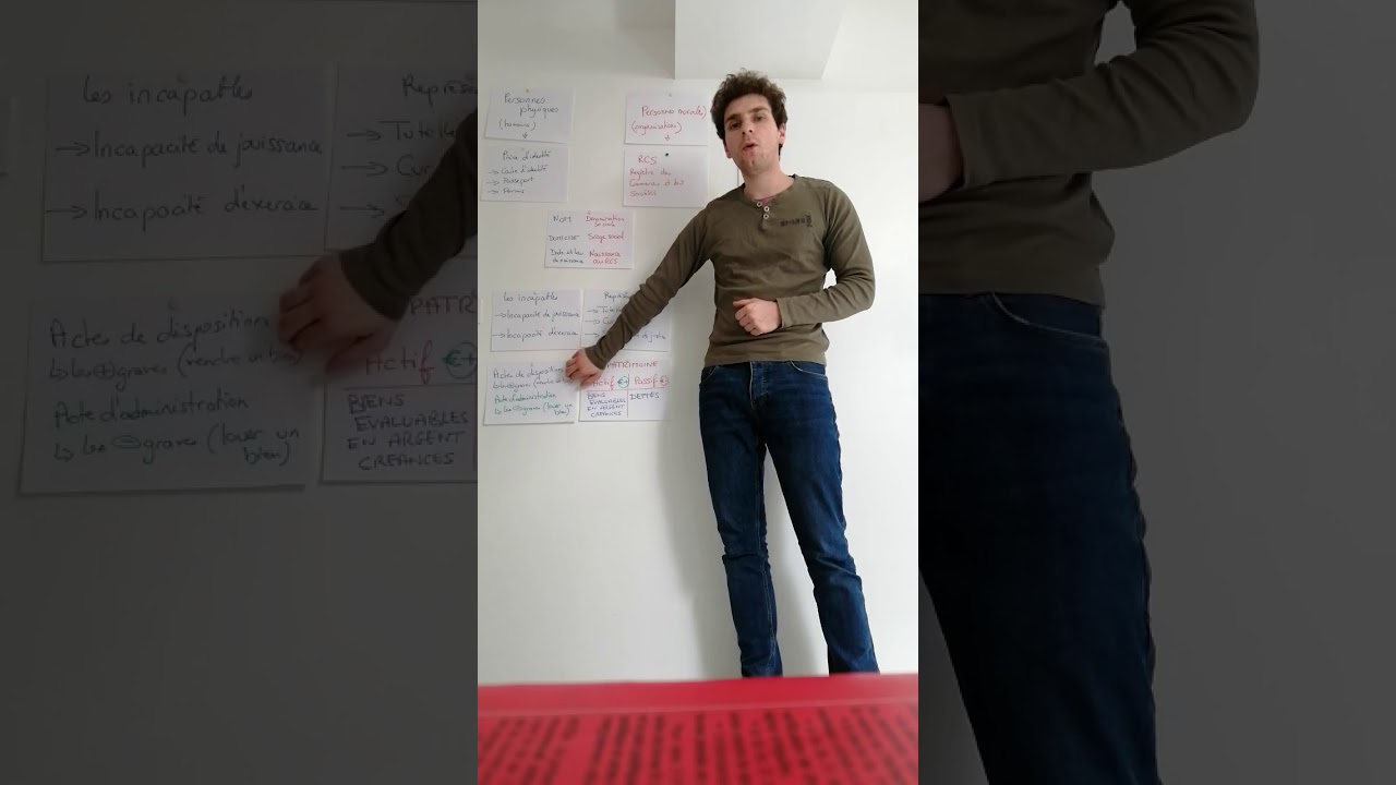 Droit : la personnalité juridique