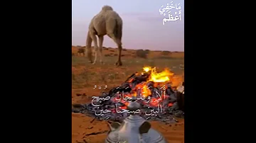 ابن زيدون في قصيدته أضحى التنائي بديلا 