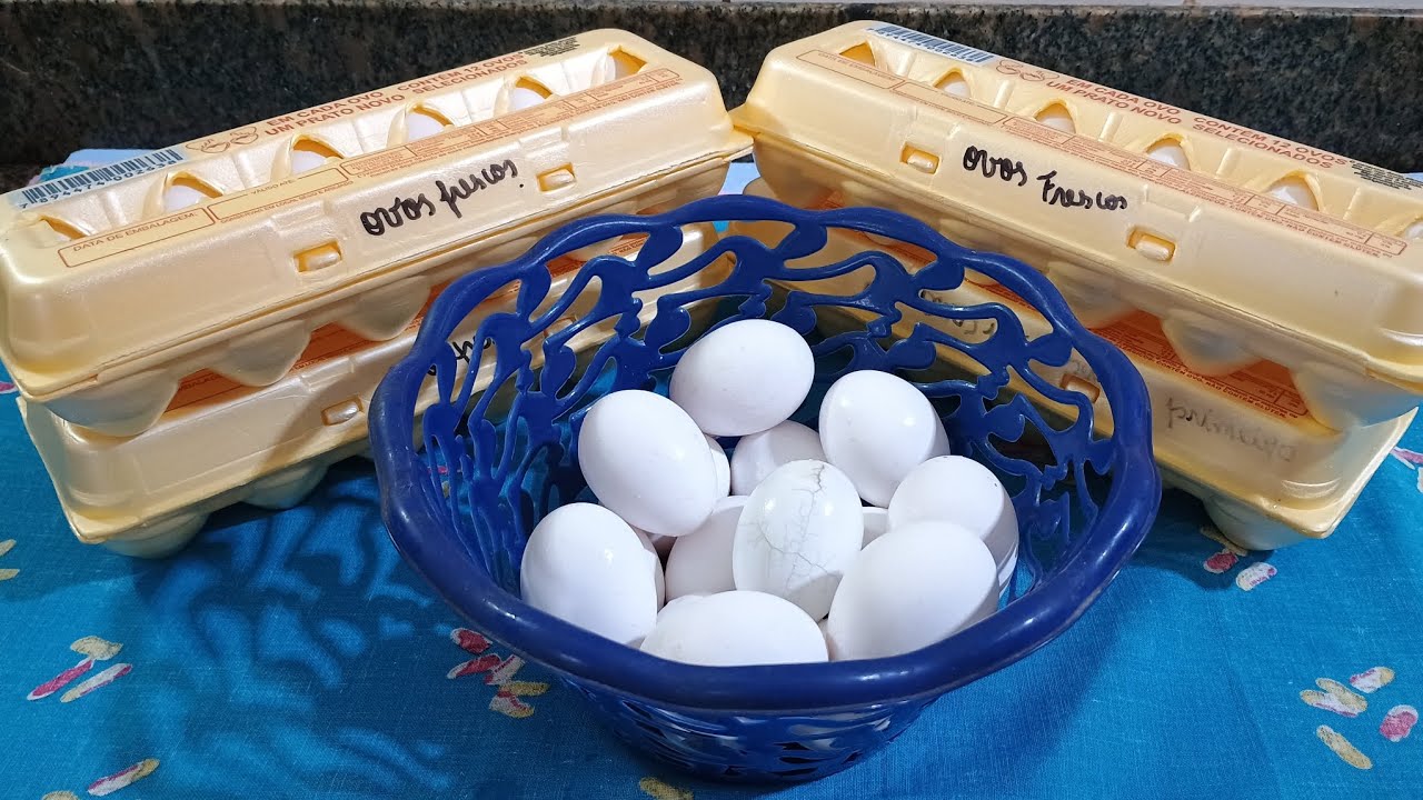 Quer ter Ovos sempre fraquinhos em casa? Segue essa Dica de Economia Doméstica 