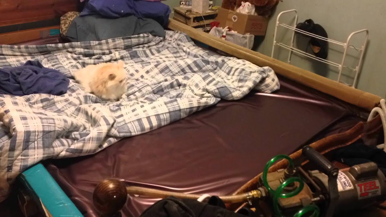 Water bed drain YouTube