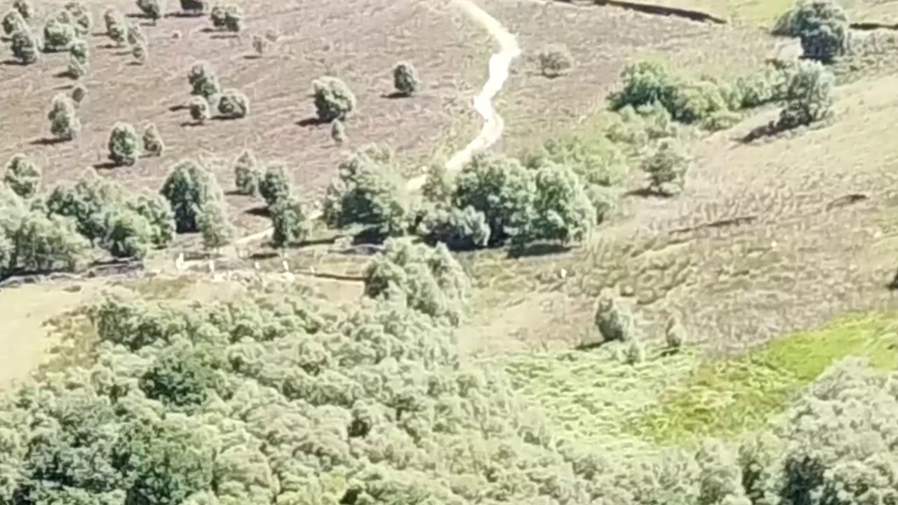 Fell Running - Up The Nab English Championship U19 Fell Race (+Senior Race)