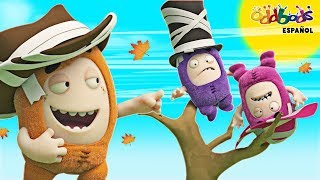Oddbods | Sombreros a Volar | Dibujos Animados Graciosos Para Niños
