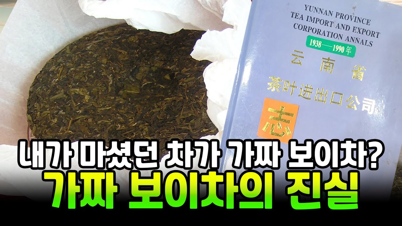 내가 마셨던 차가 가짜 보이차? 가짜 보이차의 진실!