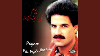 Gole Hamishe Nazam - Payam