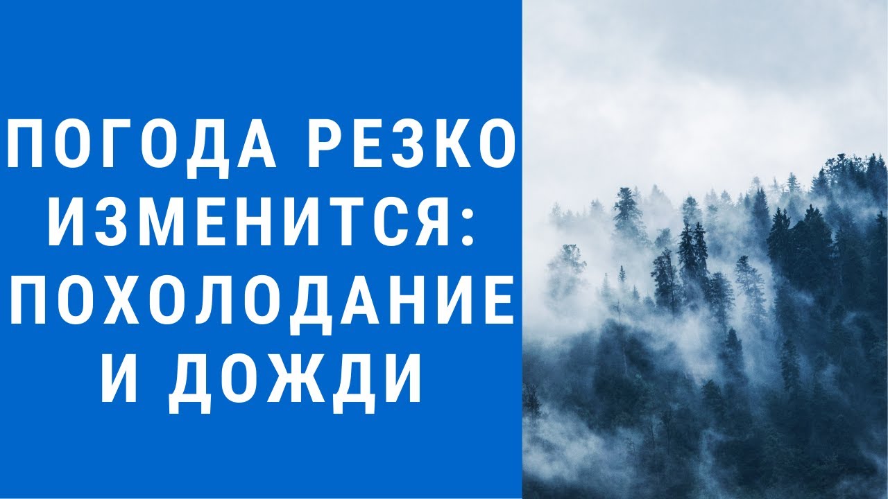 Погода на завтра моторное