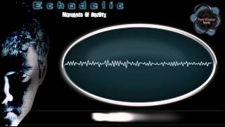 Echodelic - Melody Mind (Original Mix)