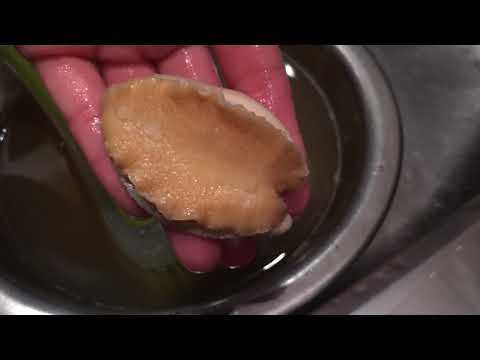 Como abalone limpo