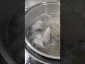 天氣轉涼，煮香菇雞湯喝暖暖胃