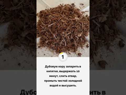 Настойка Латгальский коньяк