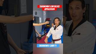 Taekwondo Low Block Application #taekwondo #poomsae