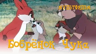 Бобренок Чука (1953) Мультфильм Аркадий Хинтибидзе, Григорий Чмутов